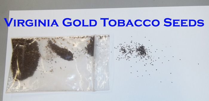 Virginia Gold Tobacco Seeds